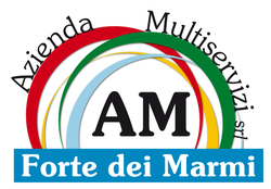 logo azienda multiservizi forte dei marm